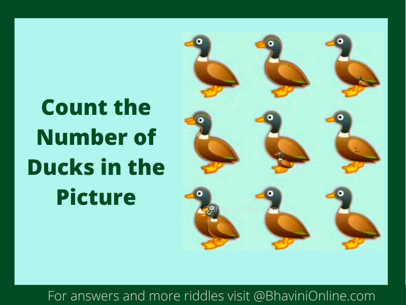 WhatsApp Picture Riddle Count the Number of Ducks